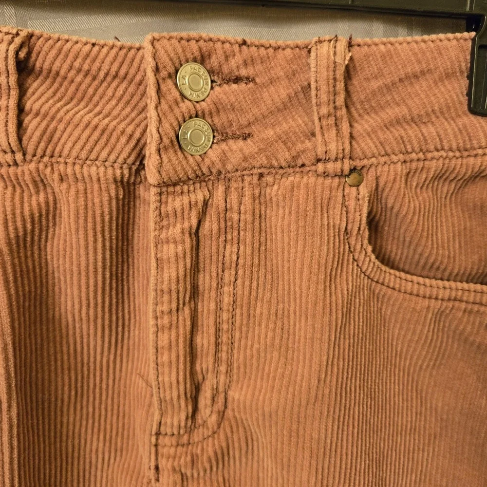 Pacsun‎ Mini Skirt Women Size 26 Chunky Pink Cordouroy Short (15